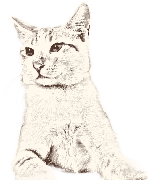 Digital pencil-style portrait of an orange and white cat